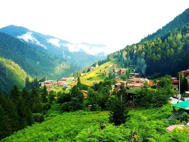 Kurban Bayramı Özel | İstanbul Çıkışlı Otobüslü Karadeniz Yaylalar ve Batum Turu (4 Gece Konaklama) (Batum ve Yayla Konaklama)