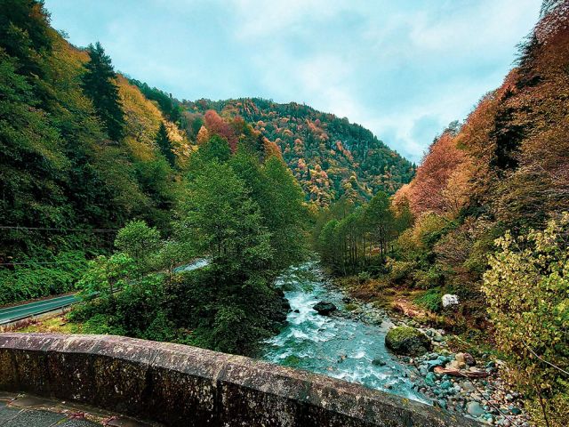 29 Ekim Özel Uçaklı İkonik Butik Doğu Karadeniz Trabzon Rize Artvin Turu | 2 Gece Konaklamalı Ankara Çıkışlı