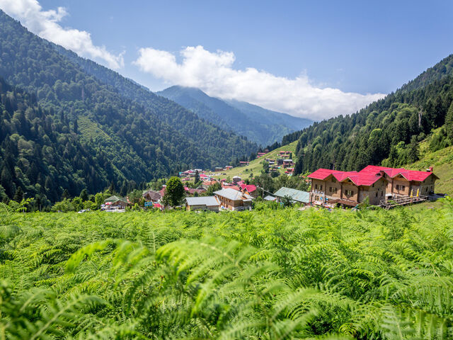 İstanbul Çıkışlı Otobüslü Karadeniz Yaylalar ve Batum Turu (5 Gece Konaklama)