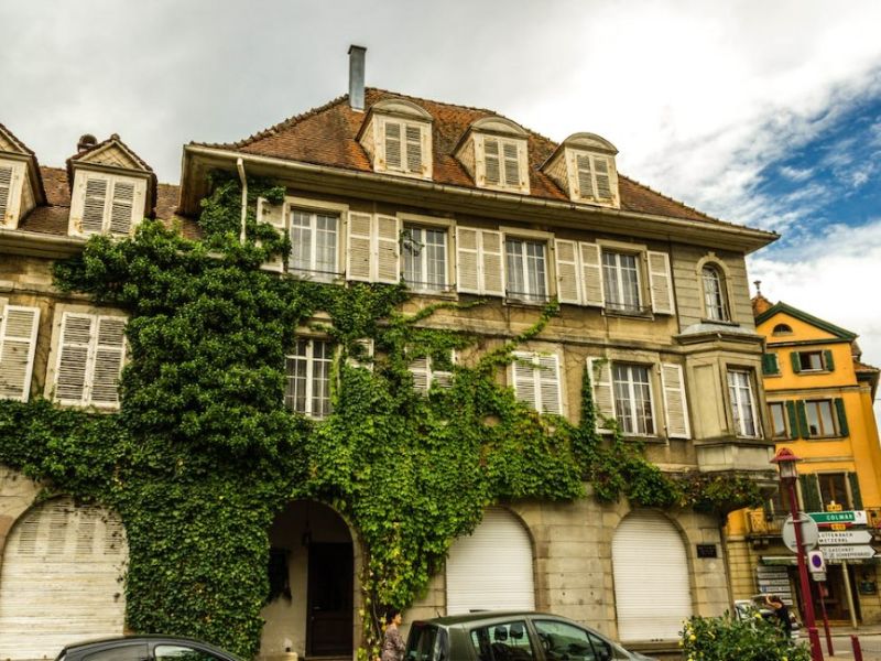 Alsace - Benelüks - Paris - Almanya Turu - Sabiha Gökçen den AJET ile BSL-DUS