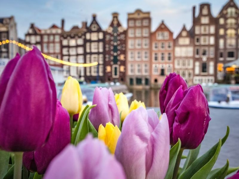 Amsterdam Türk Hava Yolları İle 3 Gece