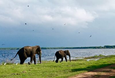 Sri Lanka 8 Gün THY İle 2027