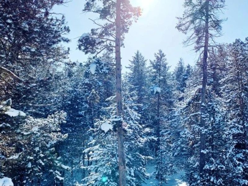 Doğu Ekspresi Rotası: Van, Karlar Altında İshakpaşa, Kars, Erzurum Palandöken Turu