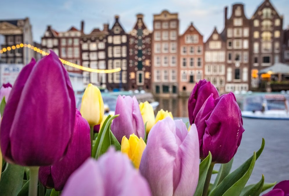 İzmir `Den Direkt Grand Benelux & Alsace & Paris & Almanya 6 Gece 7 Gün -  Geziler Dahil