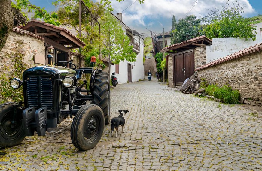 İzmir`den Bozdağ Köyü Gölcük Birgi Turu