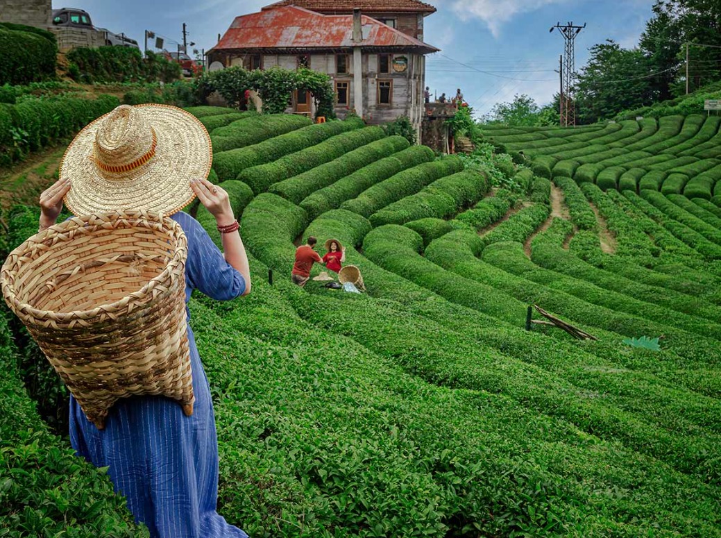 İzmir Çıkışlı Uçaklı Karlar Altında Karadeniz Ve Batum Turu 3 Gece