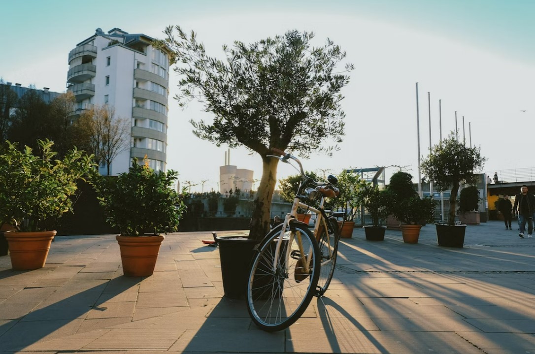 Mega Benelux & Paris & Köln & Colmar Türk Hava Yolları ile 7 Gece