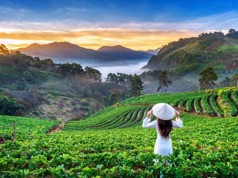 Elegant Vietnam & Kamboçya Türk Hava Yolları ile 8 Gece