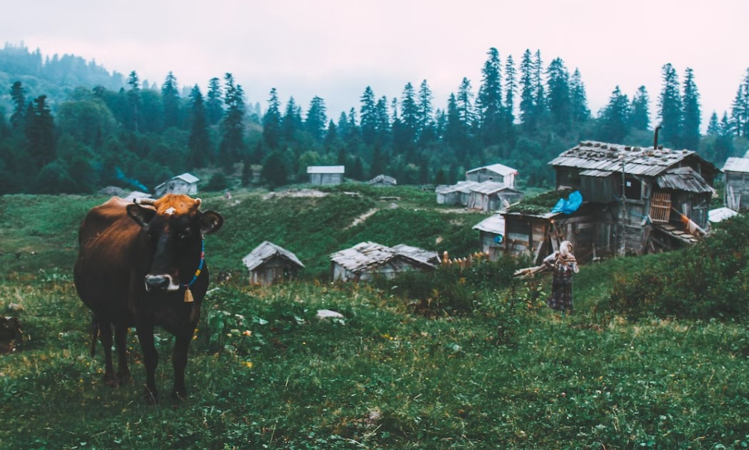 İzmir`den Boydan Boya Özel Karadeniz Rüyası ve Batum Turu 7 Gece 8 Gün