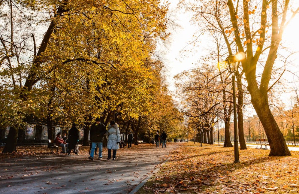 Polonya - Orta Avrupa`nın Gizli Hazinesi 4 Gece