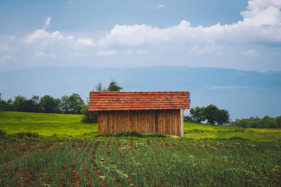 İkonik Marmara'nın Tarihi Başkentleri Turu (Kazdağları Jeep Safari ve Ayvalık Tekne Turu) |4 Gece Konaklama Uçaklı Ankara Havalimanı Çıkışlı Kurban Bayramı Özel
