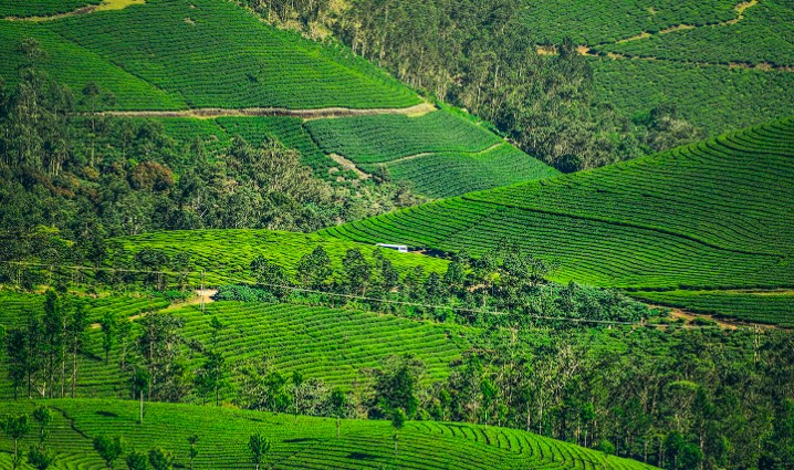 Kurban Bayramı Özel Uçaklı Karadeniz Ve Batum Turu 4 Gece