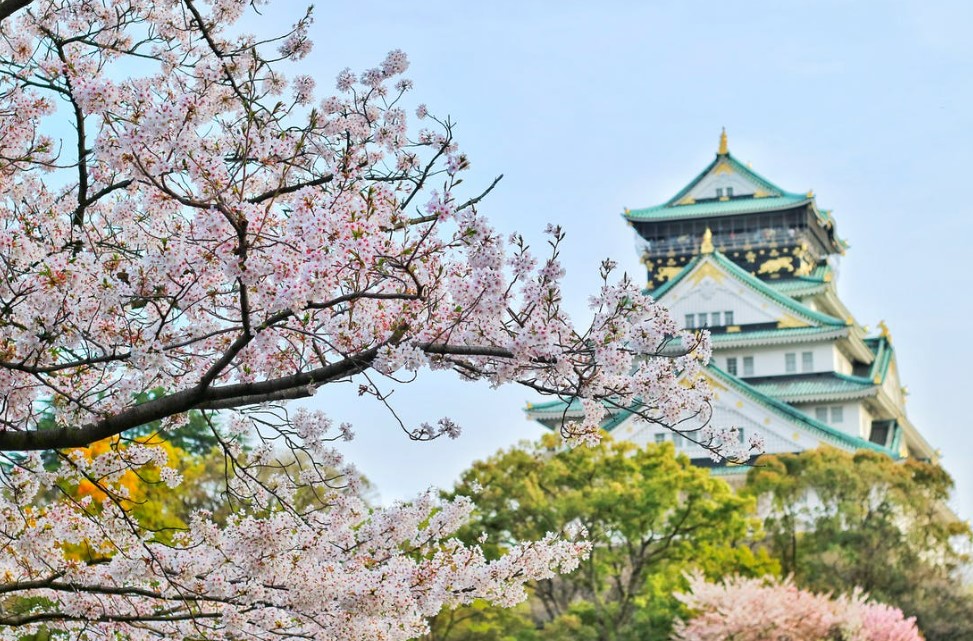 Comfort Japonya & Kore Turu Qatar Hava Yolları ile 7 Gece Ekstra Turlar Dahil!! - NRT-ICN