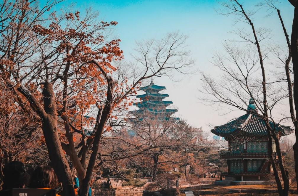 Comfort Japonya & Kore Turu Qatar Hava Yolları ile 8 Gece Ekstra Turlar Dahil!! - KIX-ICN