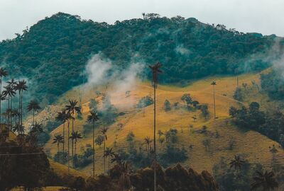 Ekvador - Galapagos - Kolombiya Türk Hava Yolları ile 11 Gece 13 Gün