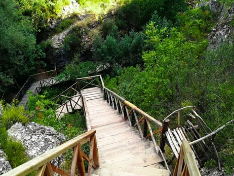 İzmir Çıkışlı Batı Karadeniz - Yedigöller - Ormanya 2 Gece 3 Gün