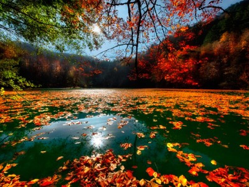 İzmir Çıkışlı Batı Karadeniz - Yedigöller - Ormanya 2 Gece 3 Gün