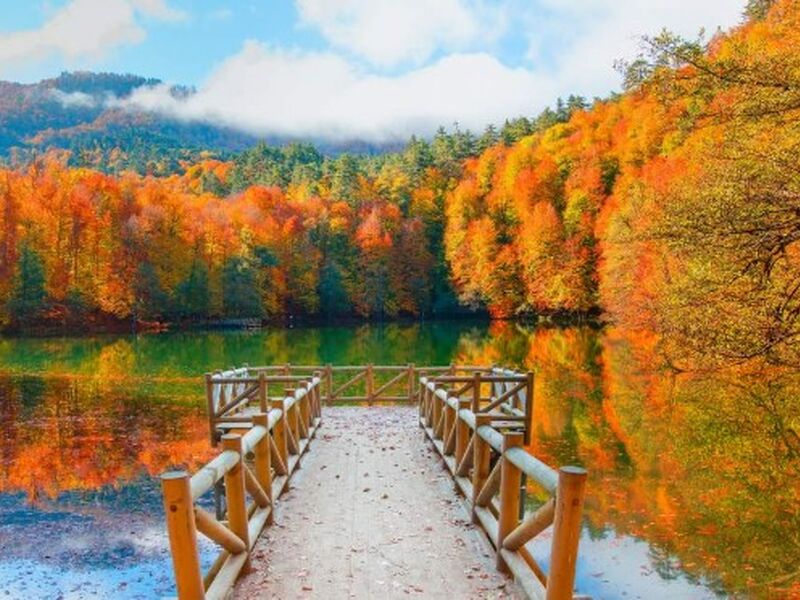 İzmir Çıkışlı Batı Karadeniz - Yedigöller - Ormanya 2 Gece 3 Gün