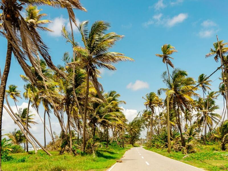 Büyük Küba Turu Superıor Türk Havayolları İle 12 Gün 13 Gece