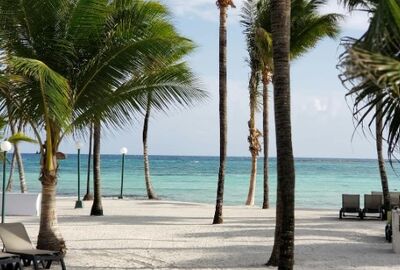 Meksika Küba Turu - THY - 10 Gün 2026