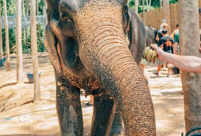 Bangkok - Pattaya -Phuket Turu 7 Gece 9 Gün Mahan Havayolları ile Yılbaşı Özel