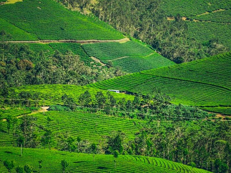 Uçaklı Karadeniz ve Batum Turu 4 Gece