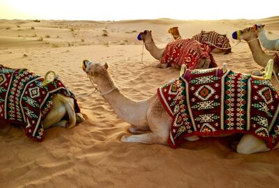 Muhteşem Dubai Turu Emirates Havayolları İle