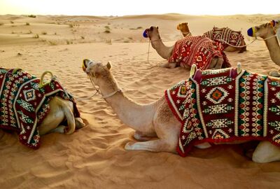 Dubai Turu 4 Gece 5 Gün İstanbul Çıkış AirArabia Hava Yolları ile Vize ve Dubai Şehir Turu Dahil