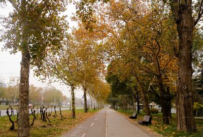 Belgrad Turu Yılbaşı Özel Türk Havayolları ile 4 Gece 5 Gün