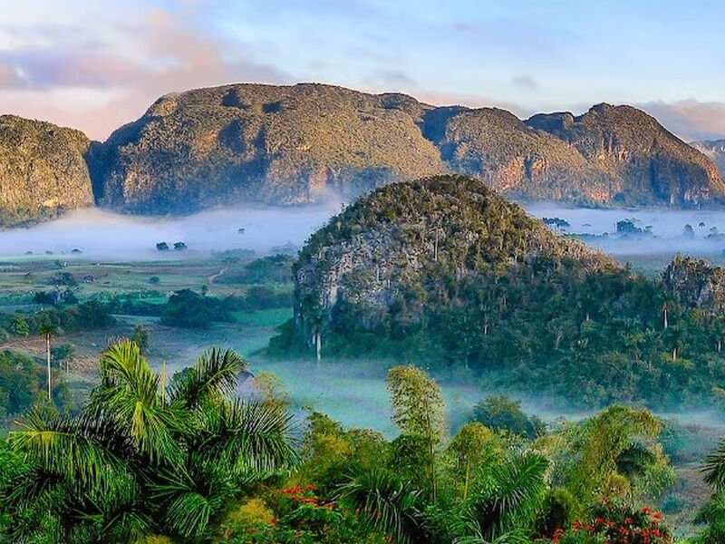 Elegant Küba - 7 gece - Thy - Hav-Hav - 2026