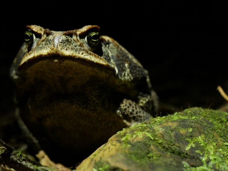 Peru Bolivya Şili Turu - 11 Gün - 2026