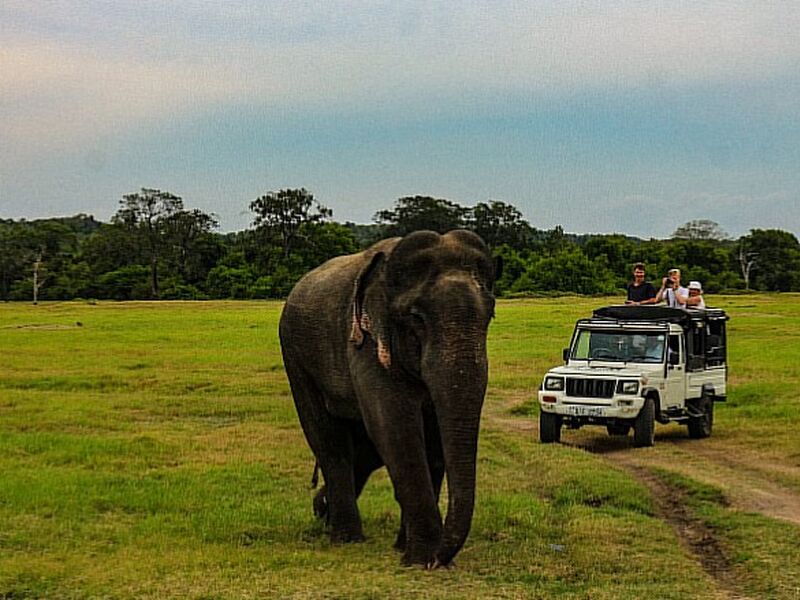 Sri Lanka Turu - 8 Gün THY - 2026
