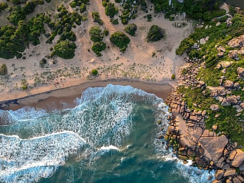 Sri Lanka Turu - 8 Gün THY - 2026