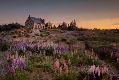 Grand Avustralya & Yeni Zelanda Turu 17 Gün 2026
