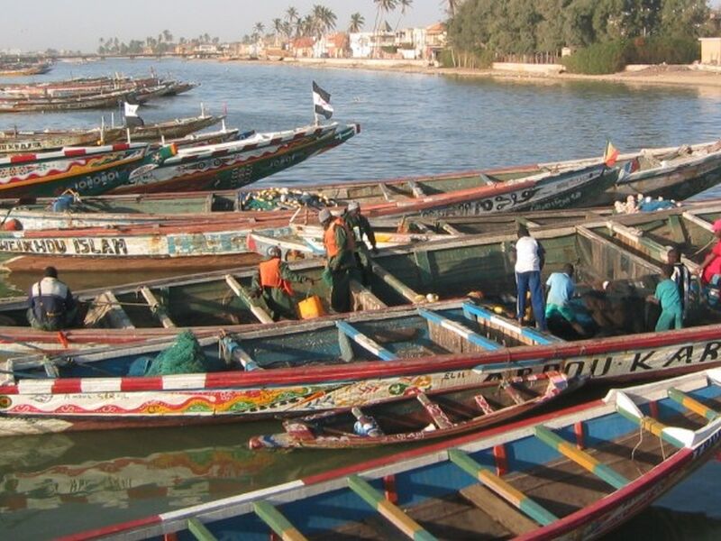 Premium - Senegal - Gambia -Gine Bissau Turu