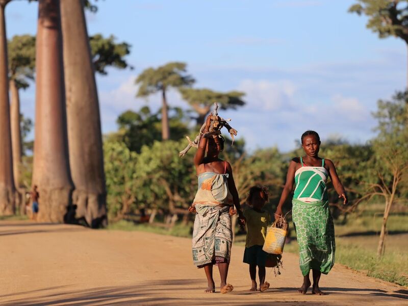 Madagaskar & Mauritius Turu Emirates Havayolları İle 10 Gece 12 Gün 2026