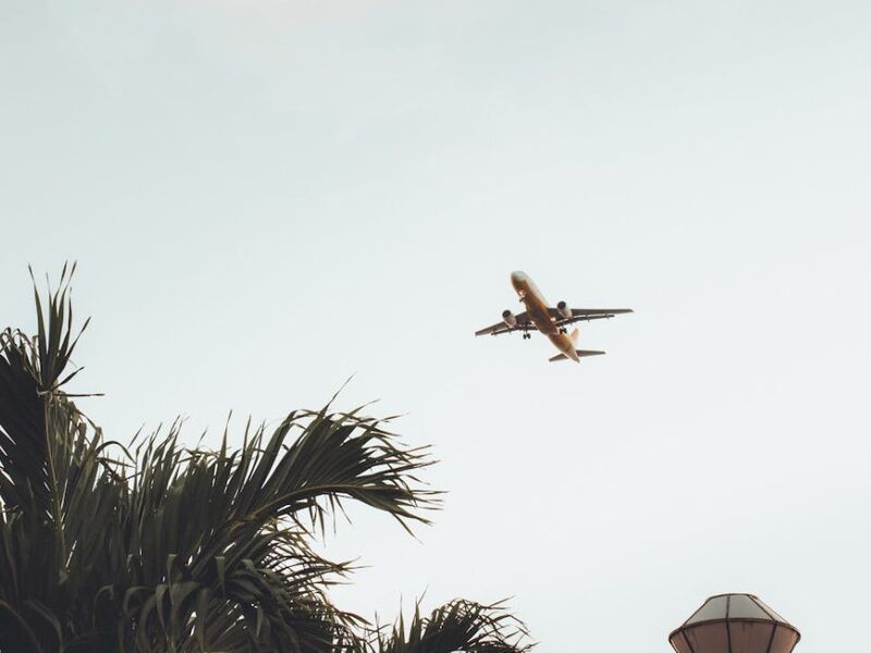 Premium - Filipinler: Palawan`dan Bohol`a Egzotik Adalar Yolculuğu