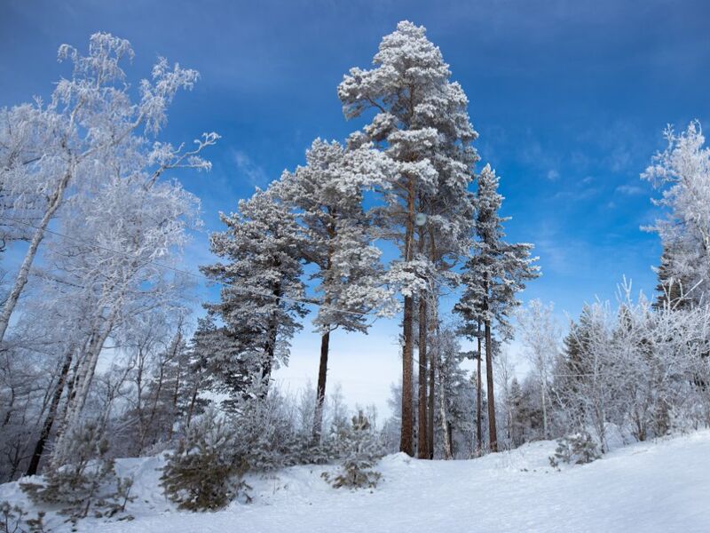 Sibirya & Yakutistan & Moğalistan Turu THY ile 14 Gün 2026