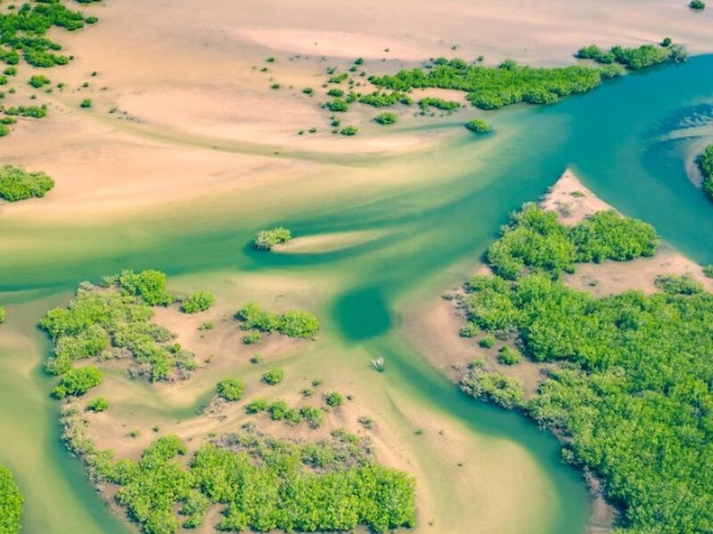 Senegal Cape Verde Turu THY ile 10 Gün 2026