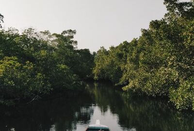 Senegal Cape Verde Turu THY ile 10 Gün 2026