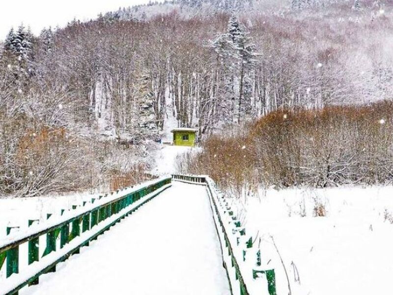 Abant Kartepe Kartalkaya Uludağ Kayak Merkezi Turu (4`lü Kar Keyfi 2 Gece Konaklamalı)