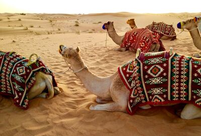 Dubai Turu Pegasus Havayolları ile 3 Gece