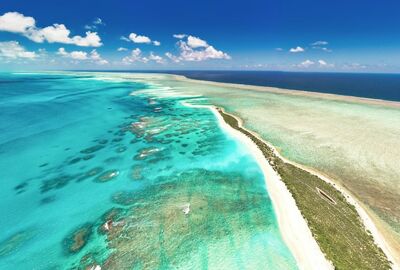 Elegant Ruanda & Uganda Türk Hava Yolları ile 8 Gece 