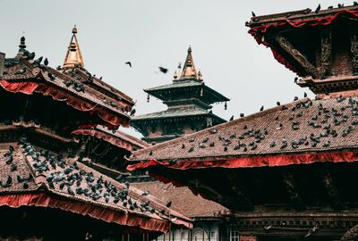 Katmandu Büyüsü 8 Gün - Air Arabia Hava Yolları İle 