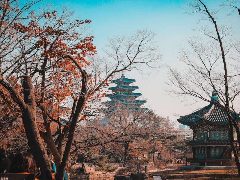 Klasik Japonya & Güney Kore Türk Hava Yolları ile 7 Gece