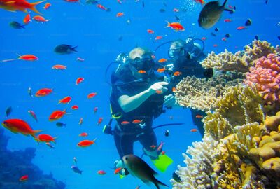 Sharm El Sheikh & Kahire Turu Pegasus Havayolları ile 5 Gece