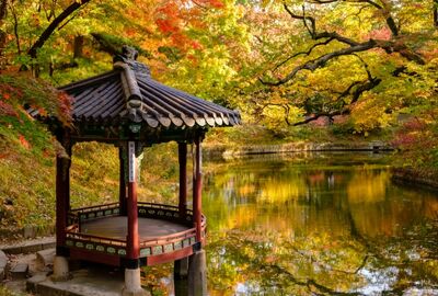 Elegant Japonya & Güney Kore Emirates Hava Yolları ile 9 Gece