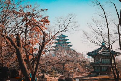 Elegant Japonya & Güney Kore Emirates Hava Yolları ile 9 Gece