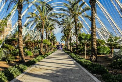 Elegant İspanya & Endülüs Türk Hava Yolları ile 7 Gece (MAD-BCN)