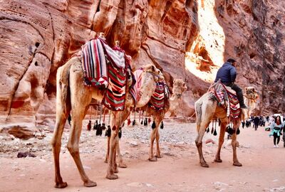 Elegant Ürdün & Petra Türk Hava Yolları ile 4 Gece